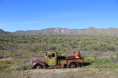 Photograph 1 from Kit Carson's cactus camp & camp cortez